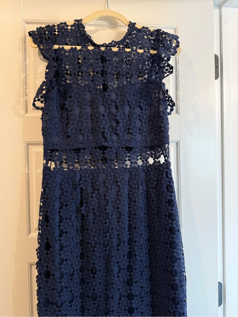 Petal & Pup Navy Floral Lace Midi Dress - Picture 5 of 10